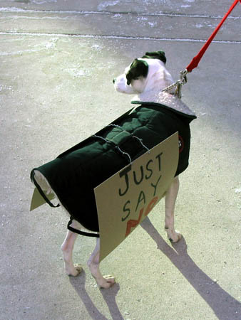 106-0644_IMG