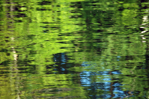 DSC_2406